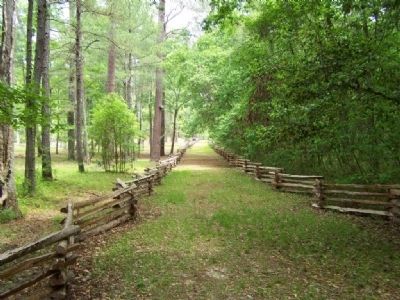 Rivers Bridge State Historic Site , the road up from the Salkewatchie River. Click for full size. Rivers Bridge State Historic Site , the road up from the Salkewatchie River image. Click for full size.