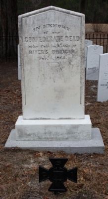 Our Confederate Dead image. Click for full size.