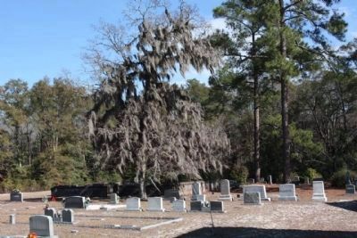 Gillisonville Baptist Church Cemetery image. Click for full size.