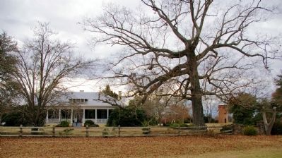 Old Town Plantation Buildings image. Click for full size.