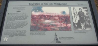 Sacrifice of the 1st Minnesota Marker image. Click for full size.