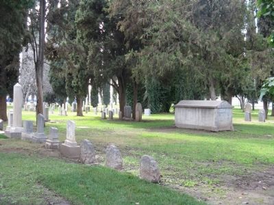 Temple Israel Cemetery image. Click for full size.