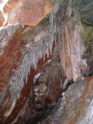 Mercer Caverns - Stalactites image. Click for full size.