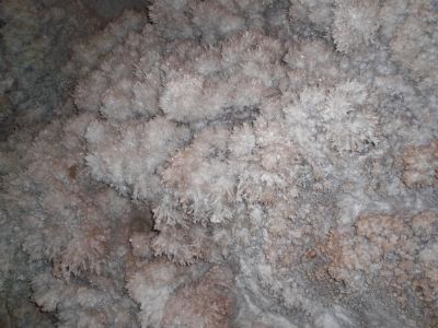 Mercer Caverns - Flos Ferri (Aragonite) Formation image. Click for full size.