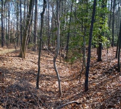 Howlett Line Entrenchment image. Click for full size.