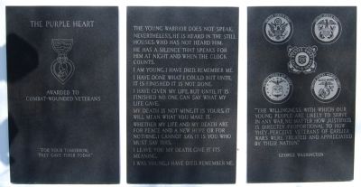 Greenville County Vietnam Veterans Memorial -<br>Southeast Wall image. Click for full size.