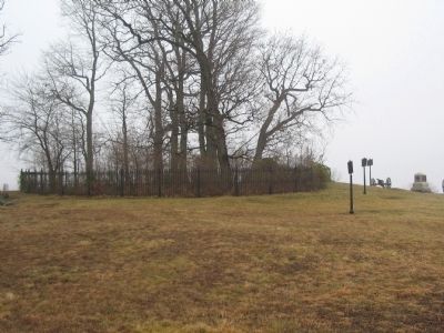 Massachusetts Markers on the South Side of the Copse of Trees image. Click for full size.