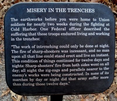 Misery In The Trenches Marker image. Click for full size.