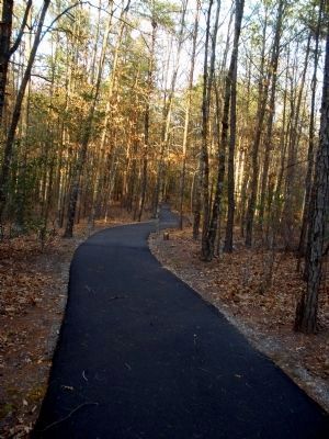 Cold Harbor Battlefield Walking Trail image. Click for full size.