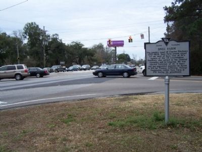 Snee Farm Marker, at intersection US 17 and Long Point Rd. ( SC 10-97 ) image. Click for full size.
