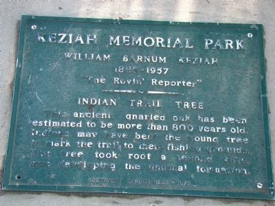 Indian Trail Tree Marker image. Click for full size.