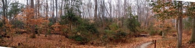 Union postion facing Hood's line of attack across Boatswain's Creek.. Click for full size. Union postion facing Hood's line of attack across Boatswain's Creek. image. Click for full size.
