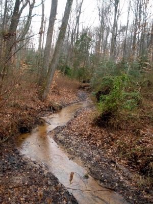 Boatswain's Creek image. Click for full size.
