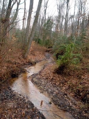 Boatswain's Creek. Click for full size. Boatswain's Creek image. Click for full size.
