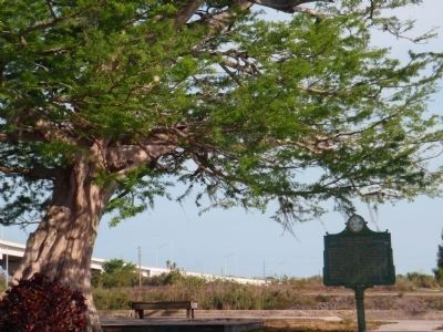 "Lone Cypress" and Everglades Drainage Marker image. Click for full size.