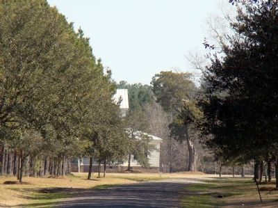 Plantation House Can be Glimpsed at the End of the Lane image. Click for full size.