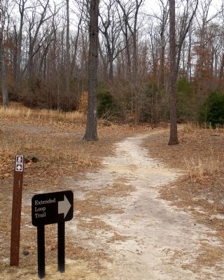 Extended loop trail east of Anderson-Wright Drive. image. Click for full size.