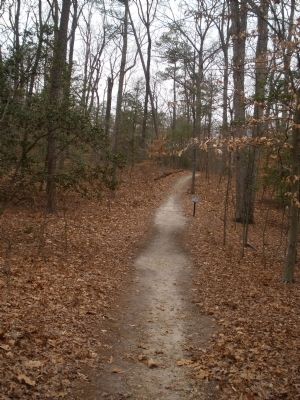 Extended loop trail east of Anderson-Wright Drive.. Click for full size. Extended loop trail east of Anderson-Wright Drive. image. Click for full size.