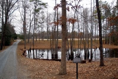 The Cold Harbor Killing Fields Marker facing north. image. Click for full size.