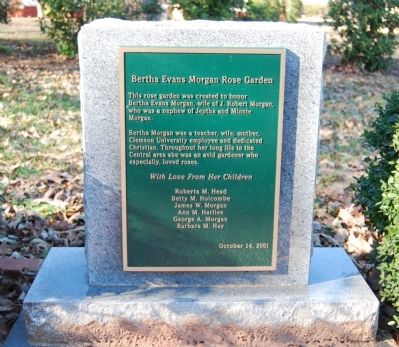 Bertha Evans Morgan Rose Garden Marker. Click for full size. Bertha Evans Morgan Rose Garden Marker image. Click for full size.