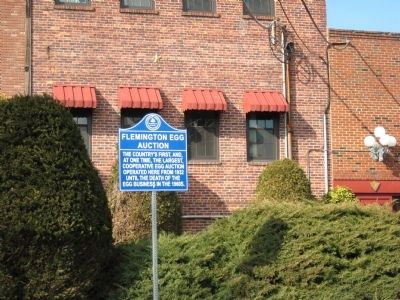 Flemington Egg Auction Marker. Click for full size. Flemington Egg Auction Marker image. Click for full size.
