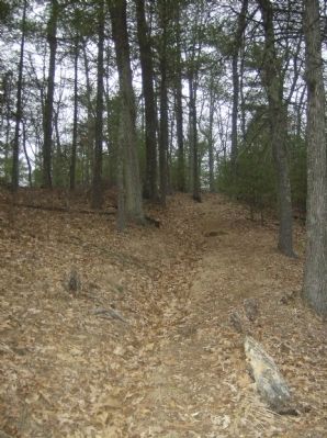 View of remains of the earthworks near the “Wee are faring badly…” Marker image. Click for full size.