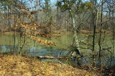 The Chattachoochee River at the Cochran Unit, Chattahoochee NRA image. Click for full size.