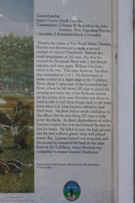 Battle of Coosawhatchie Marker, the summary image. Click for full size.