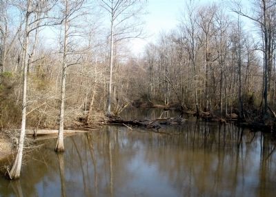 Chickahominy River near the site of Forge Bridge image. Click for full size.