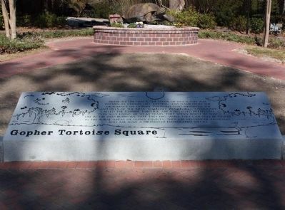 Gopher Tortoise Square Marker in Ridgeland,SC image. Click for full size.