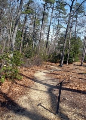 Cold Harbor Walking Trail image. Click for full size.