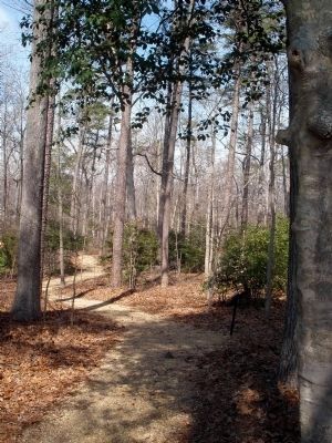 Cold Harbor Walking Trail. image. Click for full size.