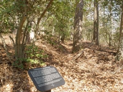 Confederate Breastworks. Click for full size. Confederate Breastworks image. Click for full size.
