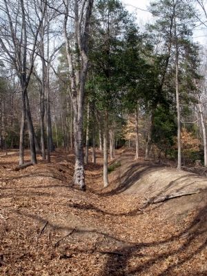 Confederate Breastworks image. Click for full size.