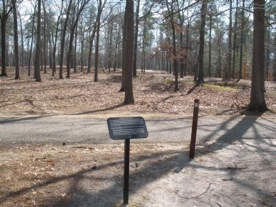 Between the Lines Marker on the extended loop trail.. Click for full size. Between the Lines Marker on the extended loop trail. image. Click for full size.