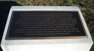 EA-3B Skywarrior Marker - Panel 1. Click for full size. EA-3B Skywarrior Marker - Panel 1 image. Click for full size.