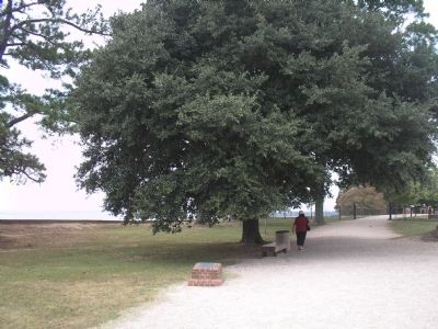 Marker in Historic Jamestown. Click for full size. Marker in Historic Jamestown image. Click for full size.