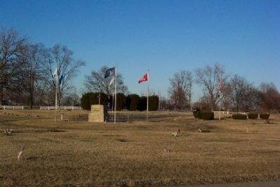Armed Forces Service Flags in Arlington Field of Honor Cemetery image. Click for full size.
