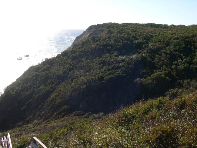 Mohegan Bluffs image. Click for full size.