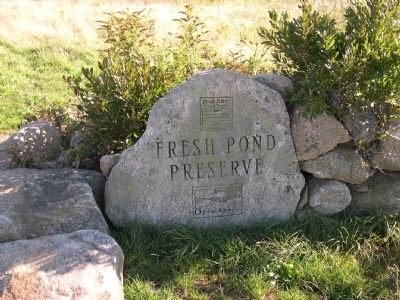 Fresh Pond Preserve image. Click for full size.