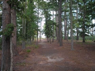 Black Point Trail. Click for full size. Black Point Trail image. Click for full size.