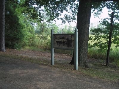 Marker on Jamestown Island. Click for full size. Marker on Jamestown Island image. Click for full size.