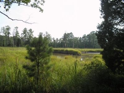 Freshwater Pond. Click for full size. Freshwater Pond image. Click for full size.