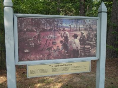 The Hardwood Harvest Marker. Click for full size. The Hardwood Harvest Marker image. Click for full size.