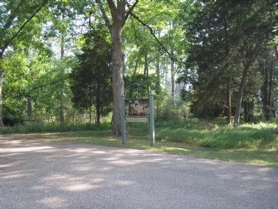Marker on Jamestown Island. Click for full size. Marker on Jamestown Island image. Click for full size.
