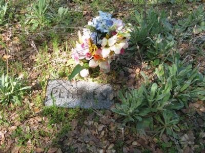 Pearley Monroe Grave Marker. Click for full size. Pearley Monroe Grave Marker image. Click for full size.