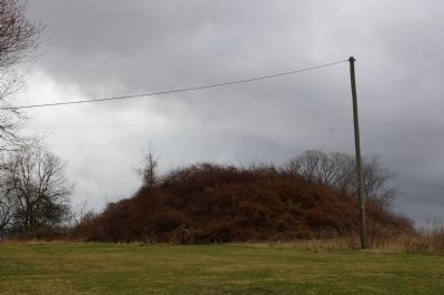 Dixon Mound (also known as the Williamson Mound) image. Click for full size.