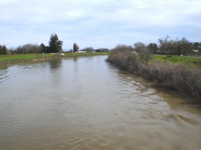 Knights Landing - Looking Downstream from Sacramento River Bridge image. Click for full size.