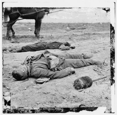 Confederate and Union dead side by side in the trenches at Fort Mahone. image. Click for full size.