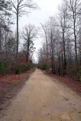 Hood's men approached from the south along this road trace (private road). image. Click for full size.
